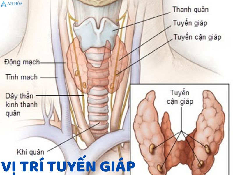 Cách điều trị viêm tuyến giáp