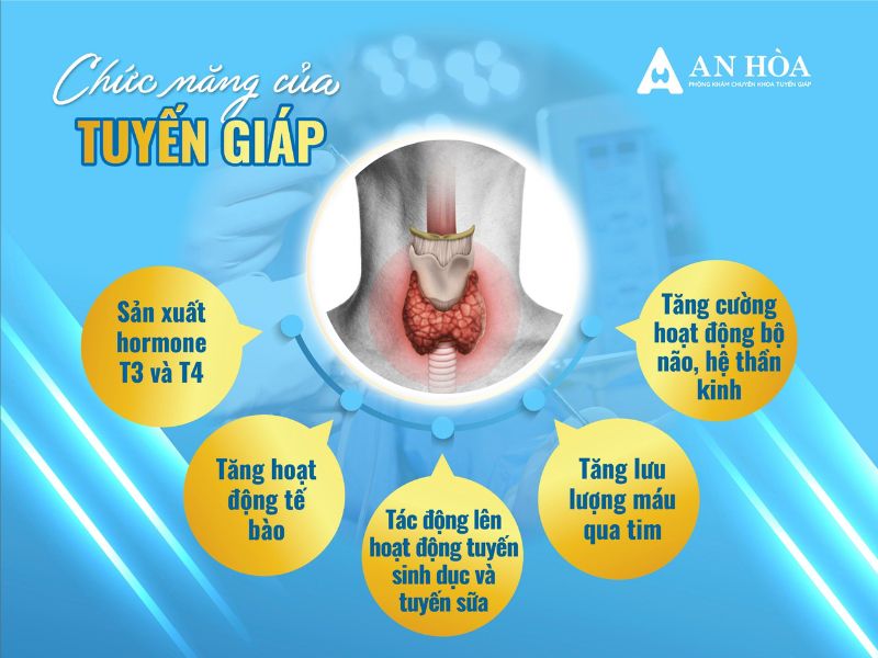 Kiểm tra chức năng tuyến giáp