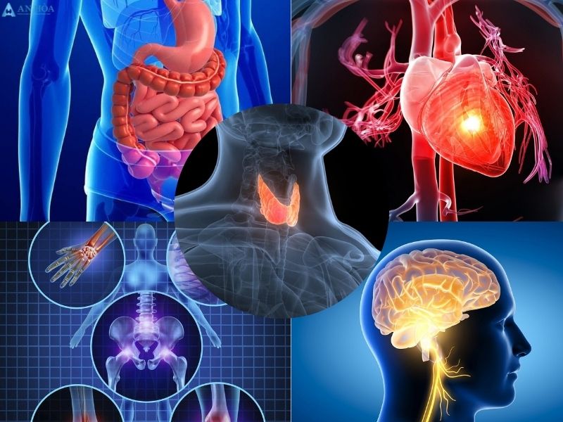 Các hormon tuyến giáp