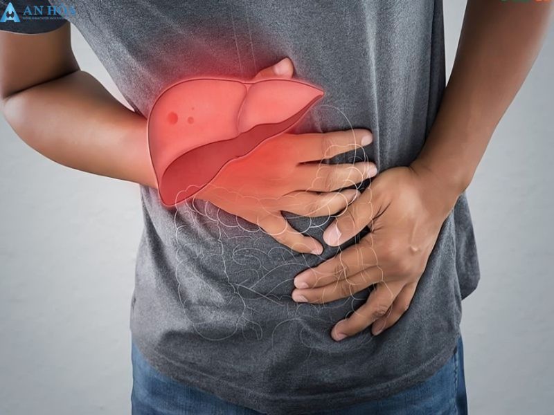 Tác dụng hormon tuyến giáp