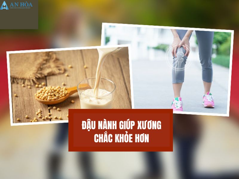 Tuyến giáp có ăn được đậu phụ không