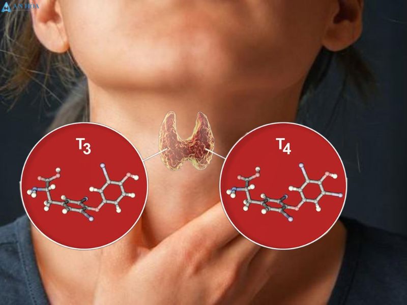 Bệnh nhân tuyến giáp